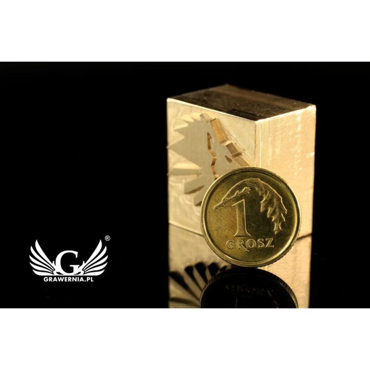 Hot Stamp for Hot and Cold Logo Embossing - Die Dimensions: 20x22mm - CNC