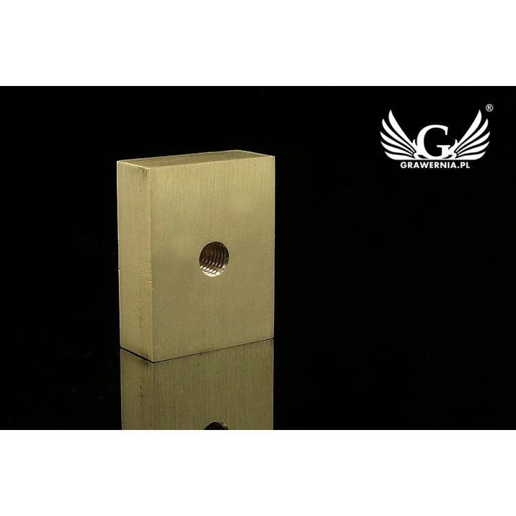 HOT STAMP for hot and cold logo branding - die dimensions: 40x31mm - LASER