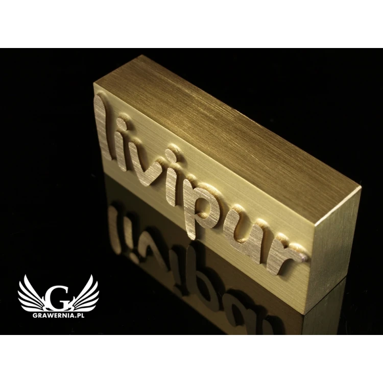 HOTSTAMP - Die / Stamp for hot and cold logo embossing - die dimensions: 57x25mm