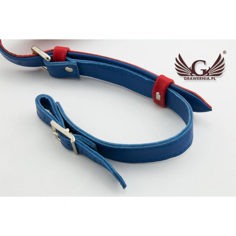 REDS AND BLUES ACCORDION STRAPS SET - Reeds model - Comfort version - PDA004