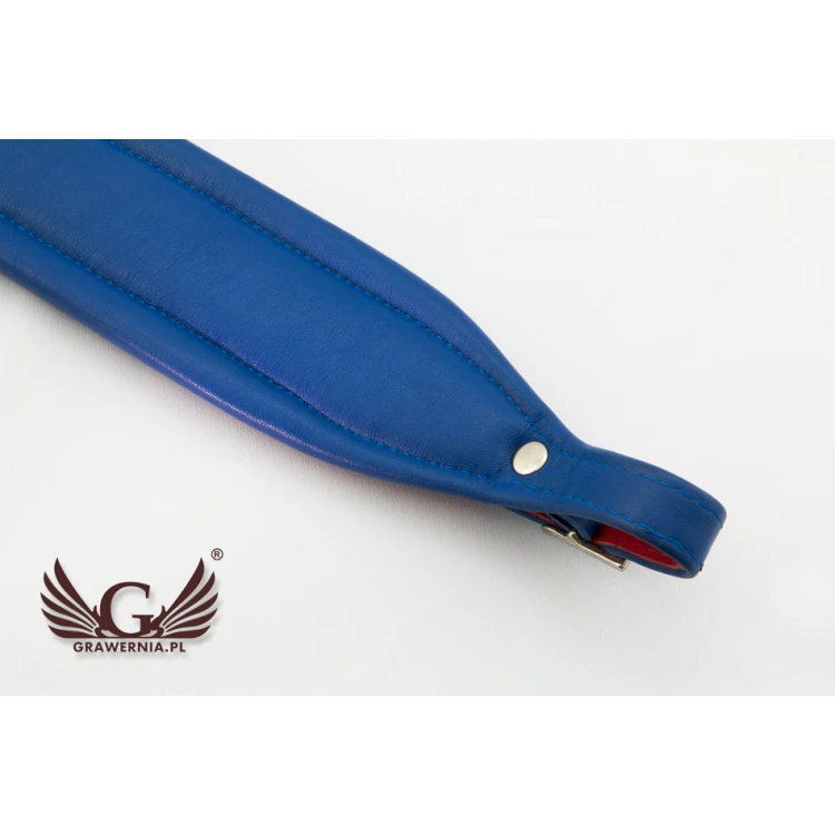 REDS AND BLUES ACCORDION STRAPS SET - Reeds model - Comfort version - PDA004