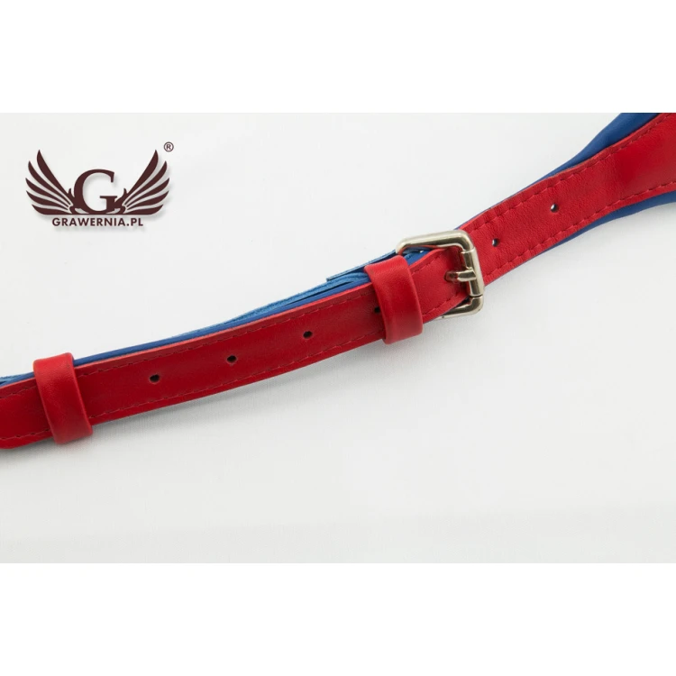 REDS AND BLUES ACCORDION STRAPS SET - Reeds model - Comfort version - PDA004