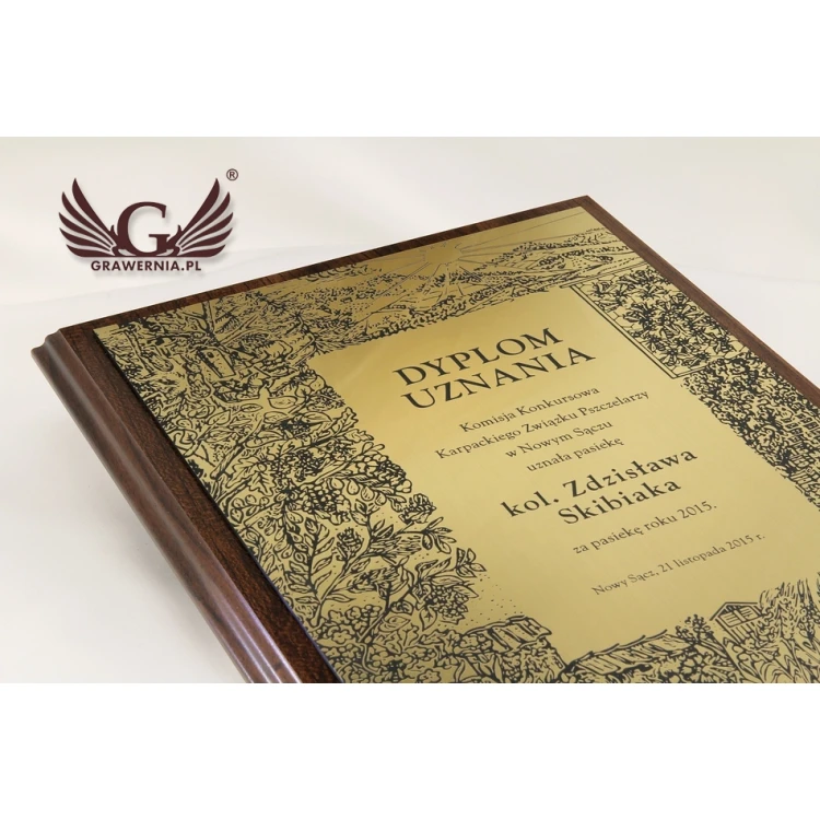 RECOGNITION DIPLOMA - GOLD - SL047