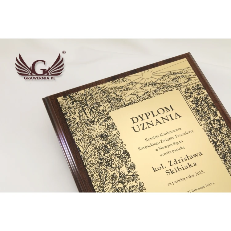RECOGNITION DIPLOMA - GOLD - SL047