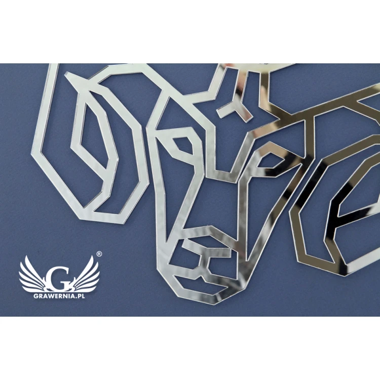 Acrylic Decorative Mirror - RAM - LDK003