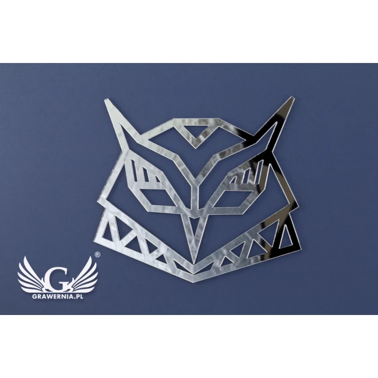 Acrylic Decorative Mirror - OWL - LDK001