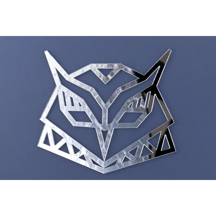 Acrylic Decorative Mirror - OWL - LDK001