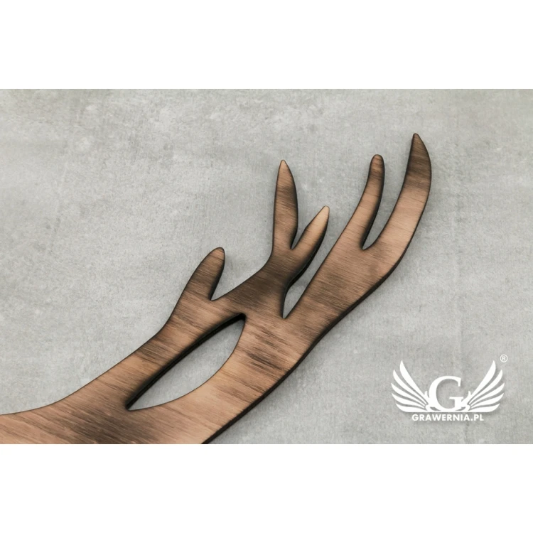Decorative Mirror with Wood - WILD - LDK007