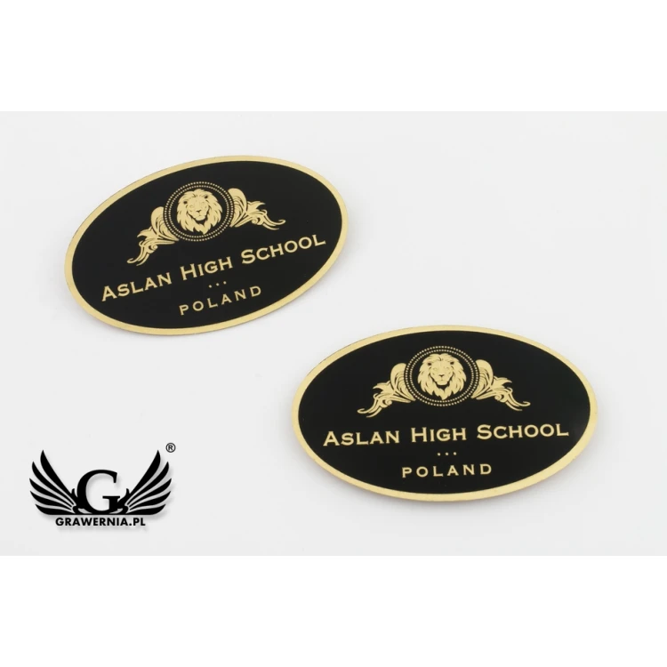 Exclusive Brass Magnets with Your Logo - dimensions: 50x30mm - PS032