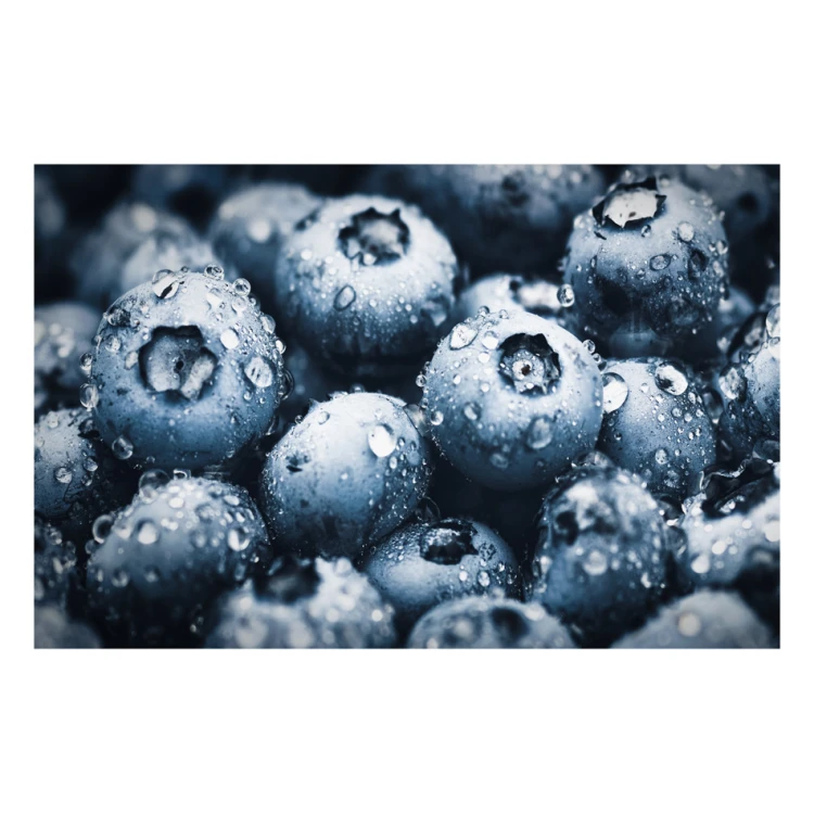Protective mat for chair or armchair with any graphic, photo - size: 120x75 cm - MOF009