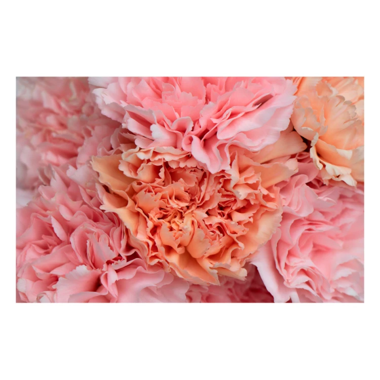 Protective mat for chair or armchair with any graphic, photo - size: 120x75 cm - MOF015