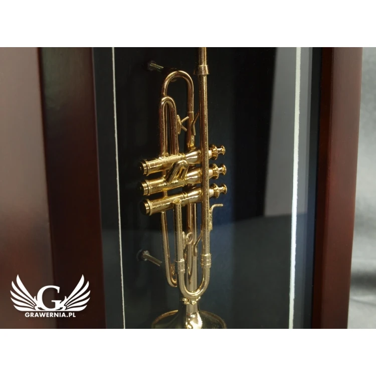 Mini trumpet in frame - model MTR1