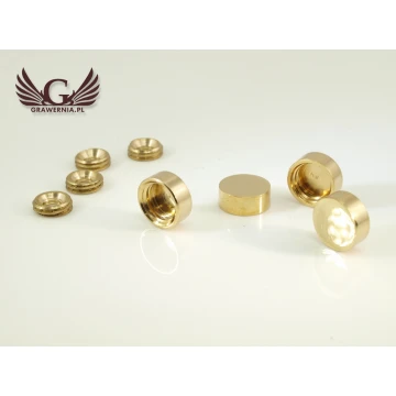 Camouflage Covers for Plaque and Sign Mountings - 1 pc. Gold Color