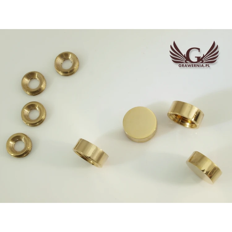 Camouflage Covers for Plaque and Sign Mountings - 1 pc. Gold Color