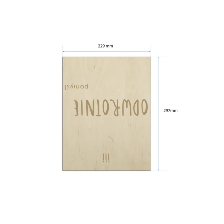 Decorative Sign - Genius - Laser Engraved - NAP025