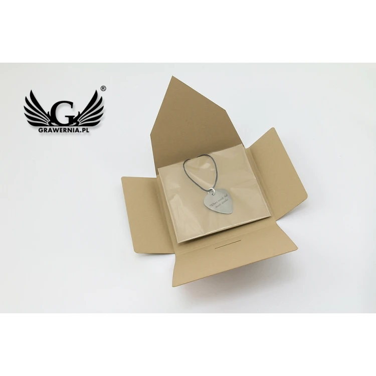Guitarist's and Guitarist's Necklace - Guitar Pick with Custom Graphics and Text - Steel - KG06