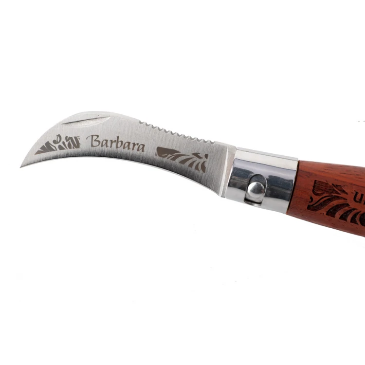 Mushroom Knife with Brush - Eagle Among Mushroom Pickers - BP130
