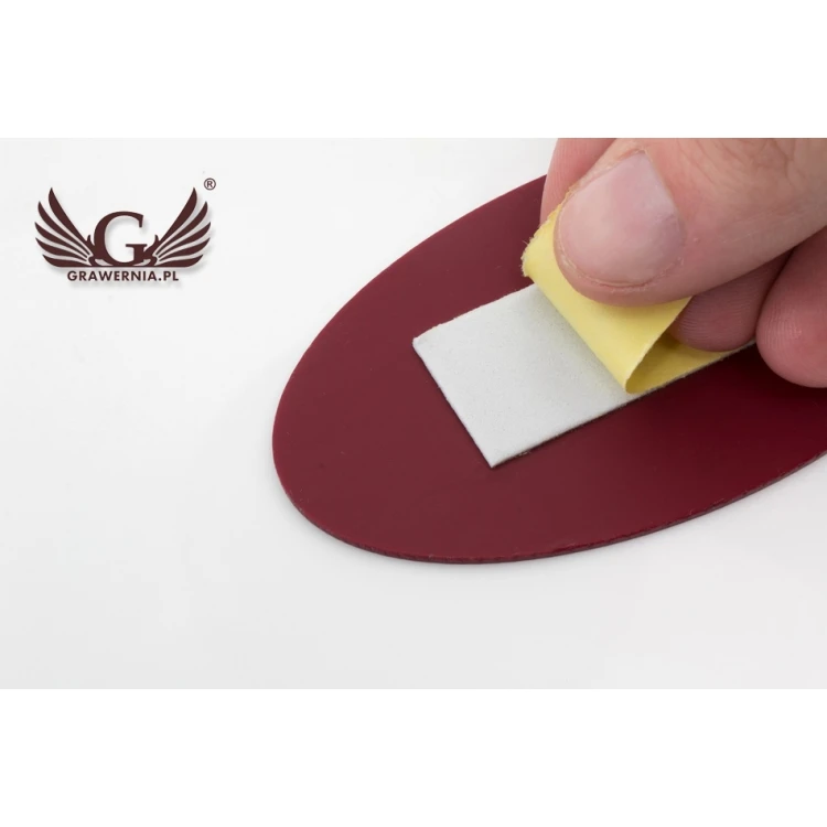 Door Numbering - ELIPSA - Gold with Colorful Engraving - ND020 - Size 100x50mm
