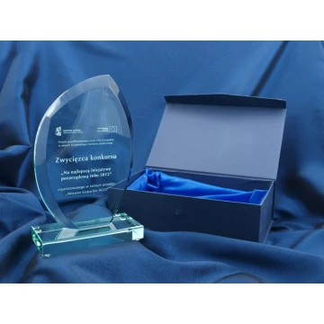 Glass Trophy in Case - INES