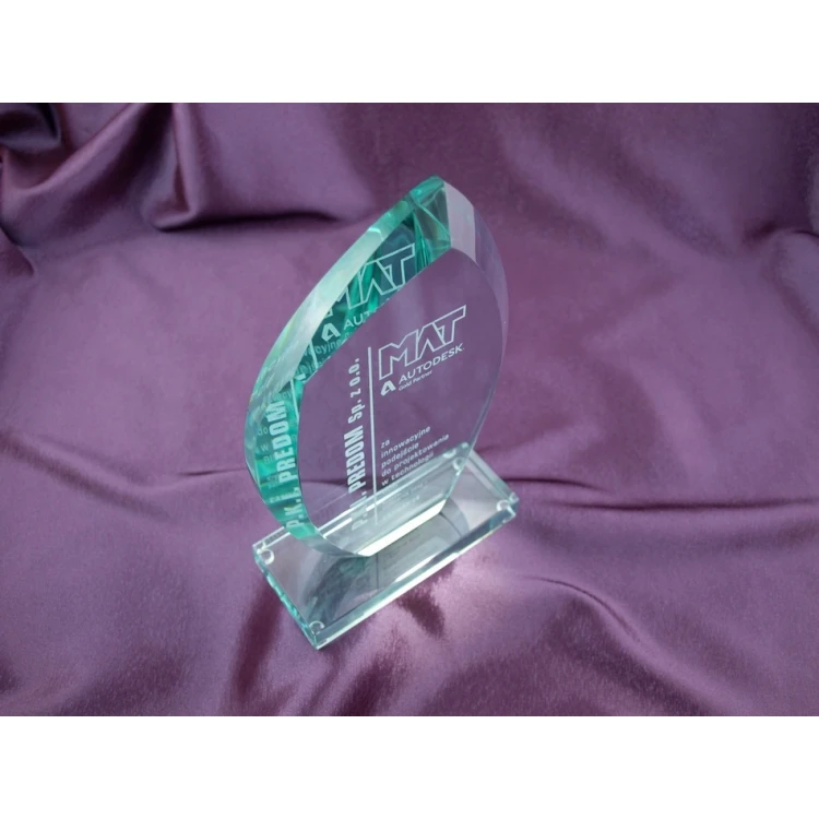 Glass Trophy in Case - INES