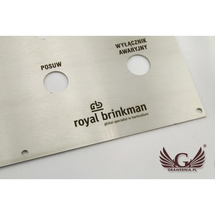 Steel Panel with dimensions 499x273mm - thickness: 2mm