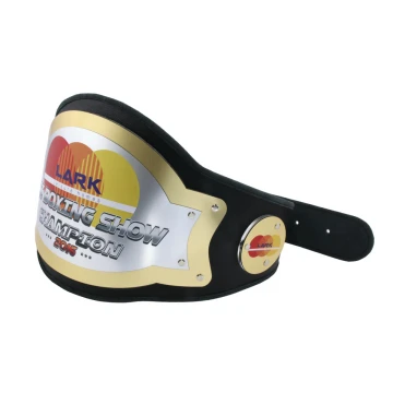 CHAMPION BOXING CHAMPIONSHIP BELT - P032