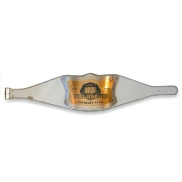 CHAMPIONSHIP BELT CHAMPION - MMA - P002