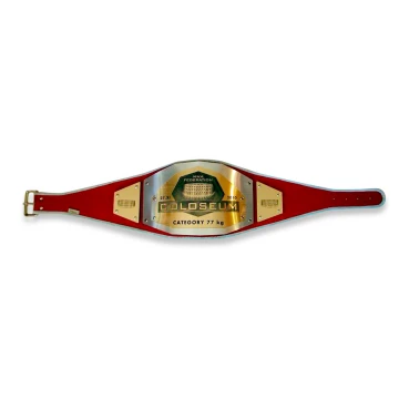 CHAMPIONSHIP BELT CHAMPION - MMA - P004