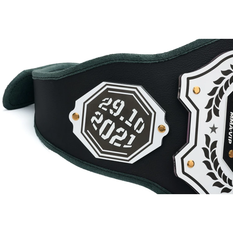 CHAMPION CHAMPIONSHIP BELT - P048