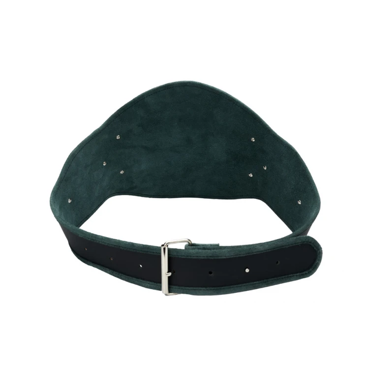 CHAMPION CHAMPIONSHIP BELT - P048