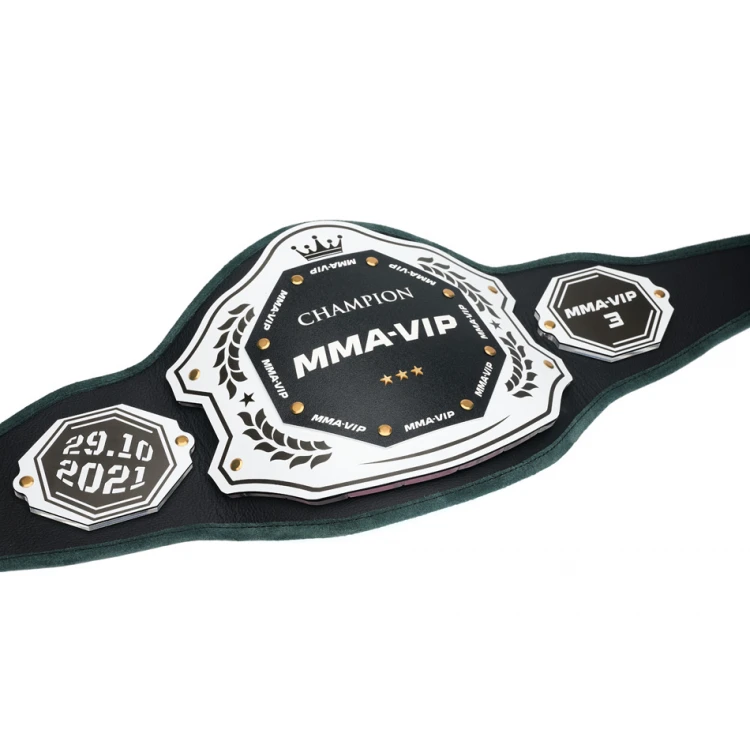CHAMPION CHAMPIONSHIP BELT - P048