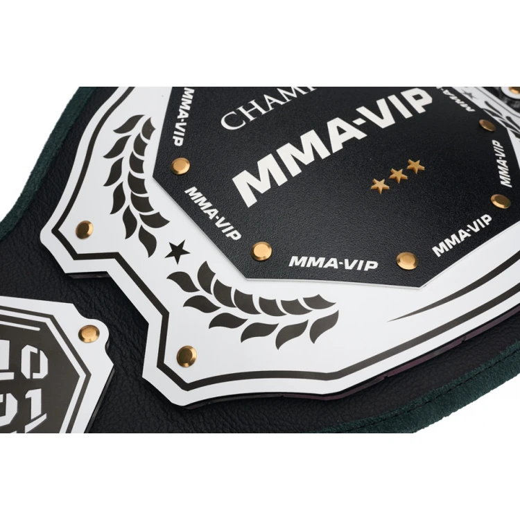 CHAMPION CHAMPIONSHIP BELT - P048