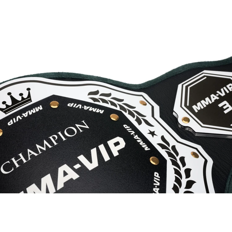 CHAMPION CHAMPIONSHIP BELT - P048