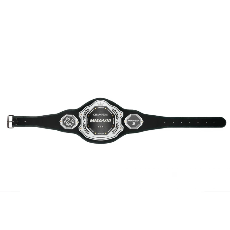 CHAMPION CHAMPIONSHIP BELT - P048