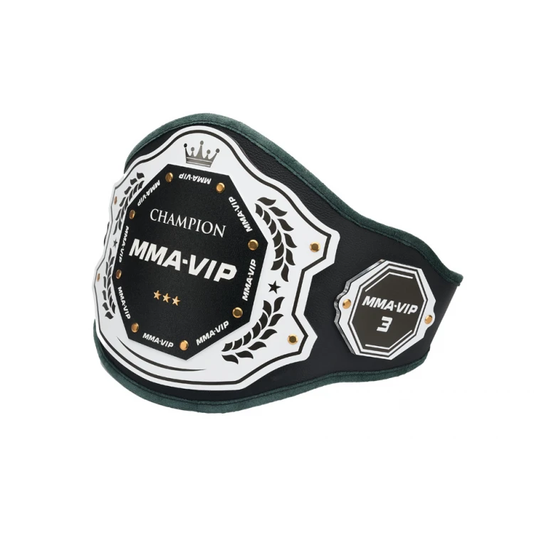 CHAMPION CHAMPIONSHIP BELT - P048