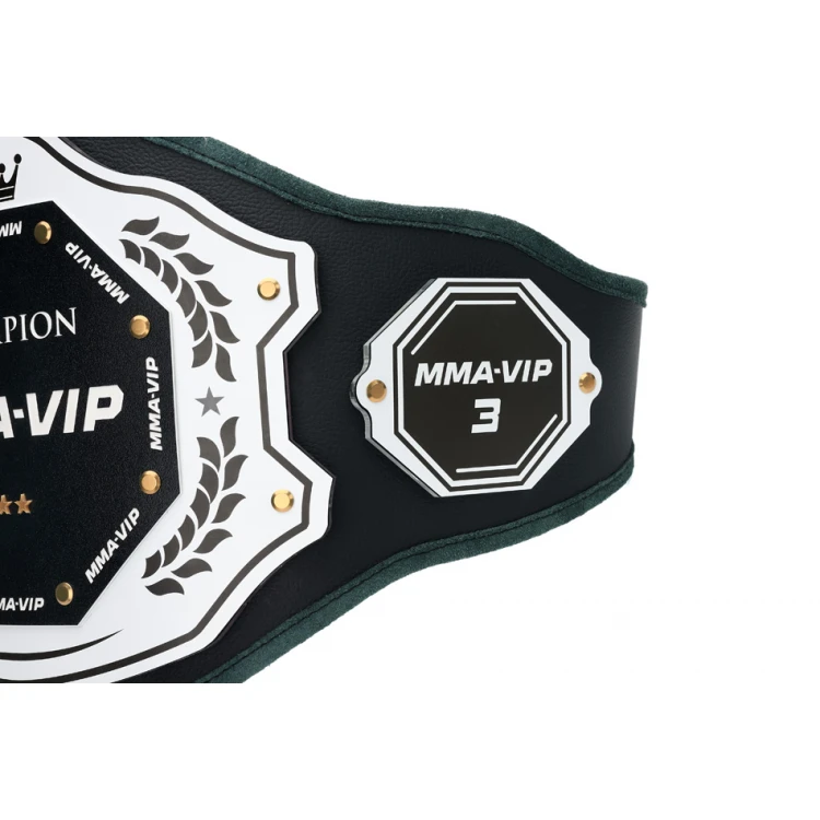 CHAMPION CHAMPIONSHIP BELT - P048