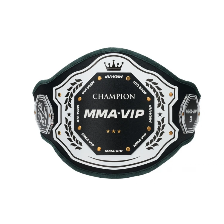 CHAMPION CHAMPIONSHIP BELT - P048