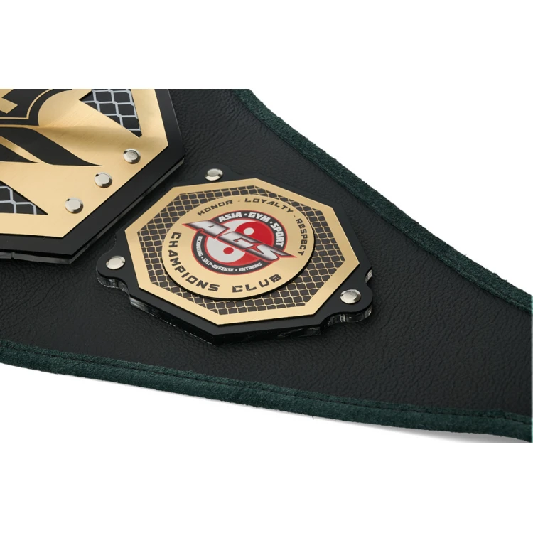 CHAMPION CHAMPIONSHIP BELT - P049