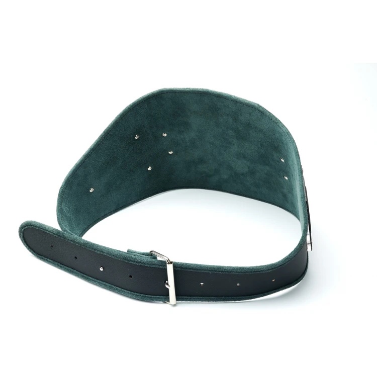 CHAMPION CHAMPIONSHIP BELT - P049