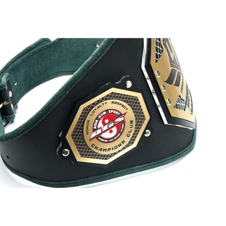 CHAMPION CHAMPIONSHIP BELT - P049