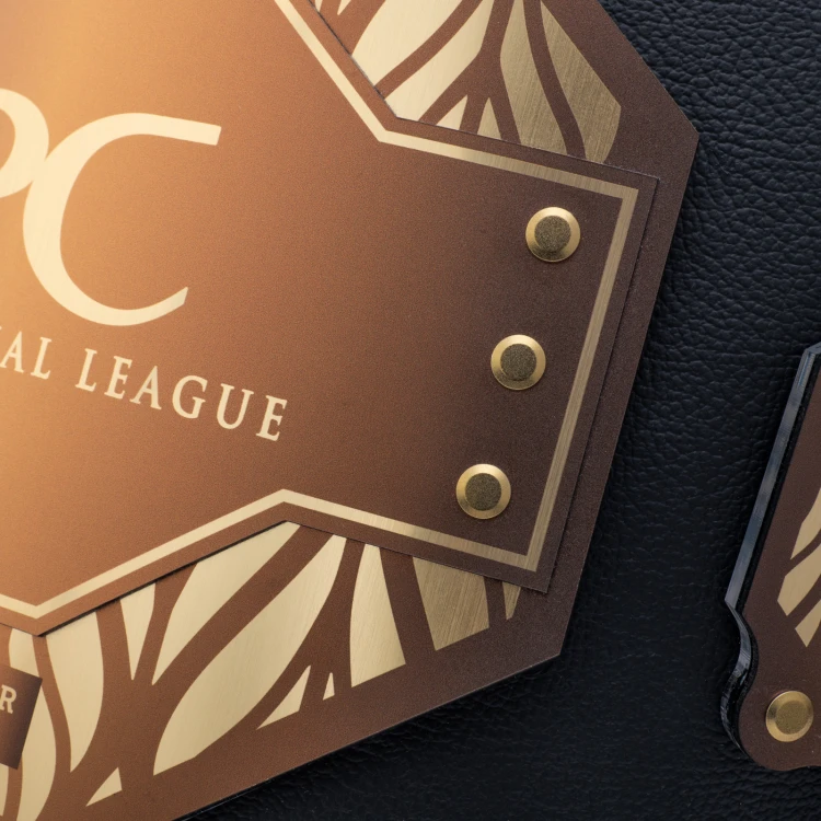 CHAMPION CHAMPIONSHIP BELT - P057