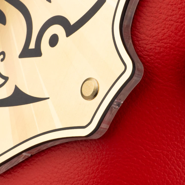 Champion Championship Belt - P063