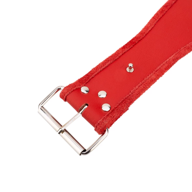 Champion Championship Belt - P063