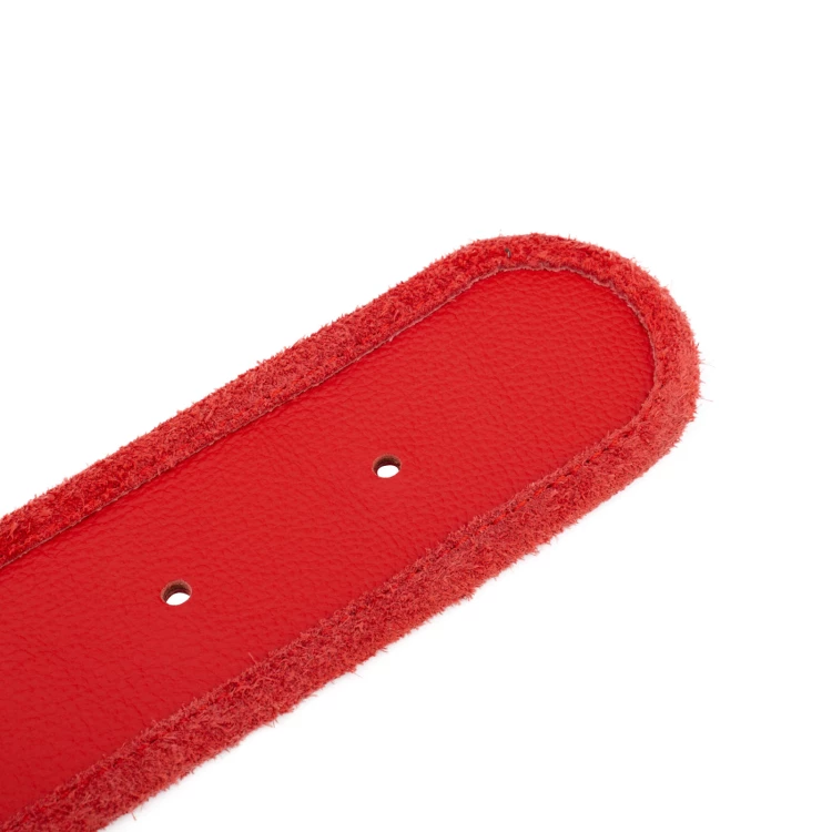 Champion Championship Belt - P063