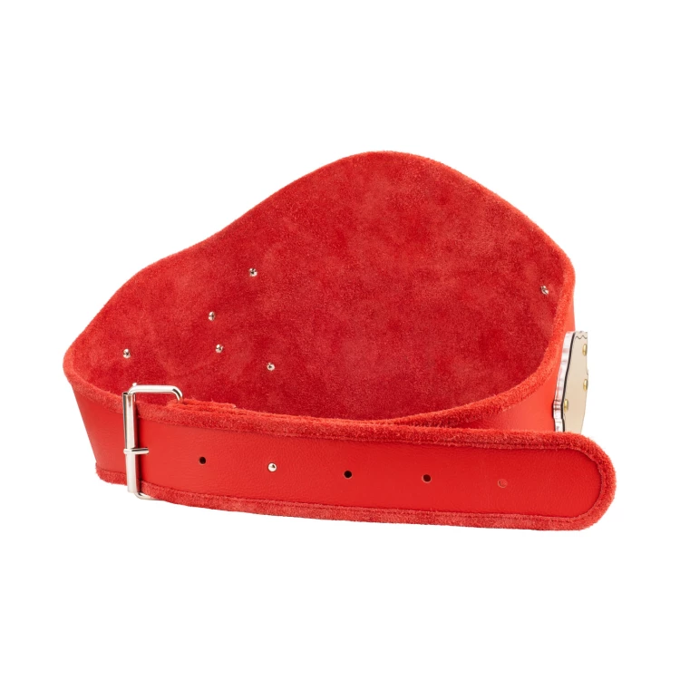 Champion Championship Belt - P063