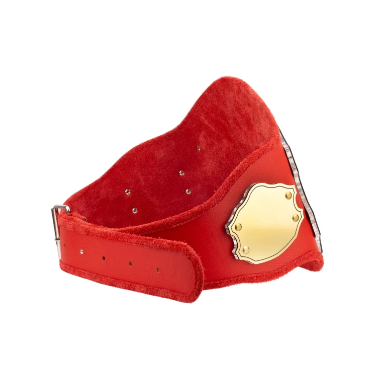 Champion Championship Belt - P063