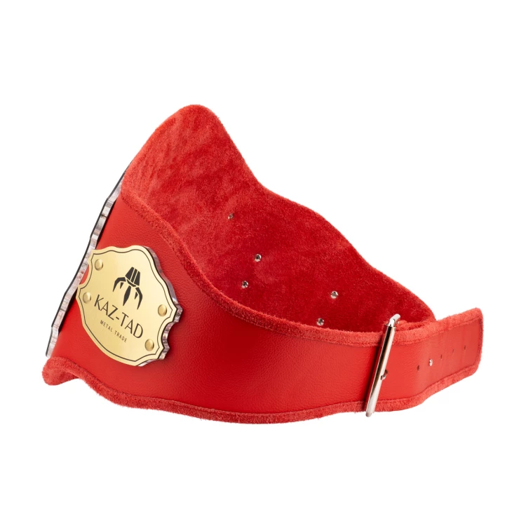 Champion Championship Belt - P063