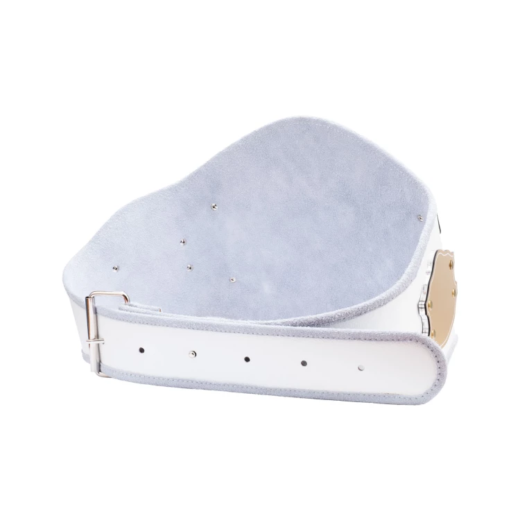 Champion Championship Belt - P064