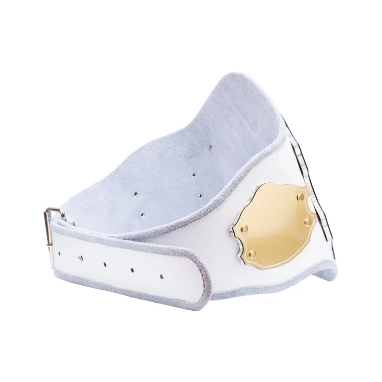 Champion Championship Belt - P064