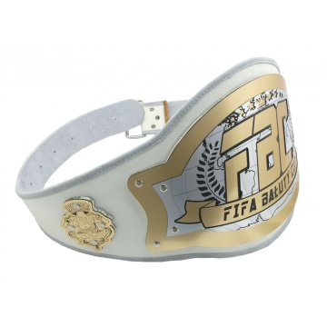 CHAMPION CHAMPIONSHIP BELT - TRANSITIONAL BELT - P021